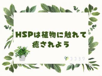 HSPと植物