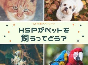 HSPとペット、動物