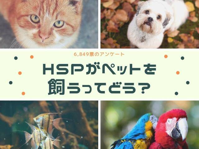 HSPとペット、動物